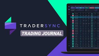 A Quick Tour of TraderSync [upl. by Daughtry]