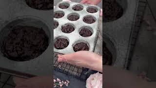 Chocolate Cupcakes Recipe Quick amp Easy [upl. by Wolk953]