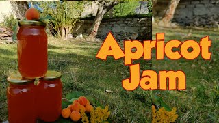 Apricot Jam  Preservative free  Organic homemade Jam  Disket Chilling [upl. by Killam]