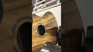 Breedlove Guitar in the Making [upl. by Hodges]