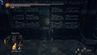 DS3 Grand Archives deph cleaning all objets cheesing exquisite detail estus refill no dead [upl. by Fauver]