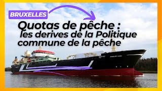 Quotas de pêche  la tragique dérive de la Politique commune de la Pêche [upl. by Tarryn]