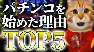 【300人に聞いた】パチンコを始めた理由TOP5【猫ミーム・猫マニ】 [upl. by Hallimaj]