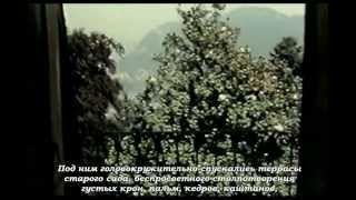 Hermann Hesses Long Summer Part 1 of 4 Inspirational Documentary [upl. by Adnuhsor207]