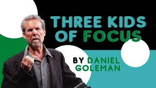 Three 3 Kind Of Focus By Daniel Goleman [upl. by Sparhawk707]