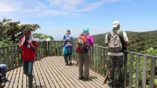 Visiting Monteverde Cloud Forest Reserve Costa Rica [upl. by Nonnag]