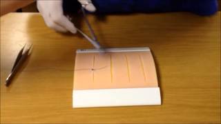 Basic Suturing Techniques [upl. by Damian85]