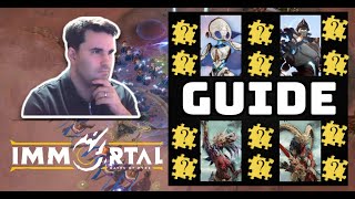 QUICKSTART GUIDE  IMMORTAL GATES OF PYRE  EVERYTHING YOU NEED TO KNOW [upl. by Oirromed]