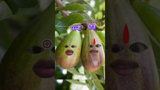 इनको लग गई मिर्ची🤪 aalu tamatar funny viral video  trending comedy viral Video shorts funny video [upl. by Savil615]