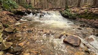 Fish Run in the Pennsylvania Wilds [upl. by Enyrhtak]