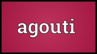 Agouti Meaning [upl. by Bud]