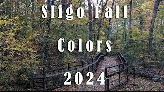 Sligo Fall Colors 2024 [upl. by Tsenrae]