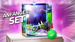 30 Liter Garnelen Aquarium  Aquascaping ideas [upl. by Anneiv960]