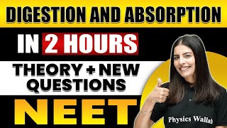 DIGESTION AND ABSORPTION in 2 Hours  All Theory  Expected Questions for NEET [upl. by Llednor799]