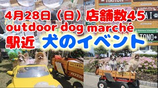 【犬イベント】ついに購入‼️愛犬の◯◯ 出店数45店舗のドッグマルシェ ＃海老名＃outdoor dogmarché [upl. by Lowenstern]