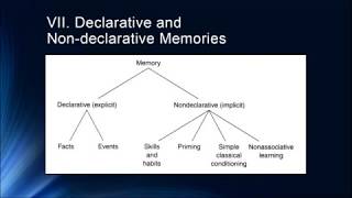 Cognition Lecture 5 1 Introduction to Longer Term Memories [upl. by Nnylirak]