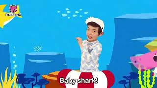 Baby Shark 🦈 Dance 💃 🕺  Animal Song PINKFONG  Song For Children TheChaosSmithEchoes [upl. by Sturrock]