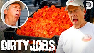 World’s Hottest Pepper Mike Rowe Battles Carolina Reaper Seeds  Dirty Jobs [upl. by Ettenwahs388]