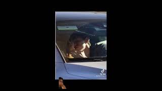 Zendaya amp Tom Holland caught KISSING  Full Live footage  pictures [upl. by Zetta967]