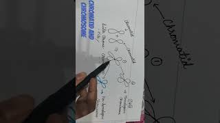 CHROMATID AND CHROMOSOME DIFFERENCE CSIR NETGATESET csir dbt biology gate lifescience [upl. by Sperling749]