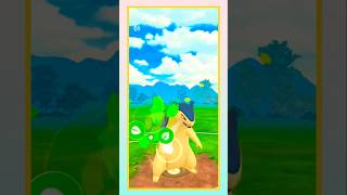 Typhlosion 🔥 Shadow ✨ Sceptile 🌿 and Kyogre 🌊  Pokemon Go 🌈 shorts pvp battle [upl. by Ailima580]