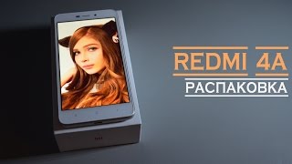 Xiaomi Redmi 4A GOLD Ламповый и няшный смартфон [upl. by Tomkins]