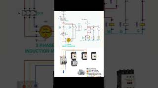 Star Delta wiring diagramelectrical electrician electric [upl. by Alisa]