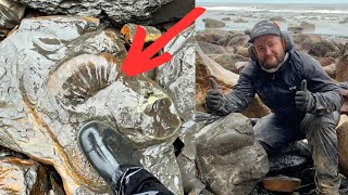 Giant Ammonite Recovery  It Fell From The Cliff [upl. by Aser]