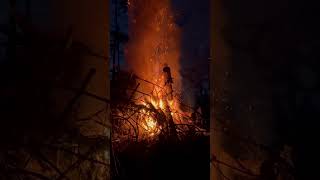 Harstine Island 🏝️ fire Cleaning the farm shortsharstinefirewoodstreefarming [upl. by Lobiv]