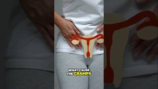 Why do Period Cramps Happen [upl. by Ahsakat]