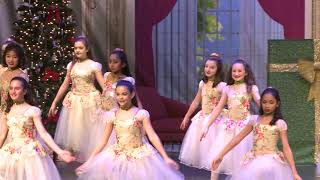 Ravel Dance Studio Nutcracker 2018  Northern Virginia Ballet Dance School [upl. by Ynobe332]