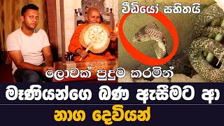 බණ ඇසීමට ආ නාග රජු සියැසින් දැක ගන්න  Gothami Maniyo  Snake  MY TV SRI LANKA [upl. by Nerraf]