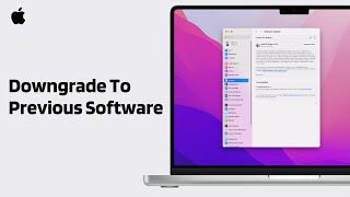 How to Downgrade to Previous MacOS  Revert to Previous MacOS [upl. by Keynes748]