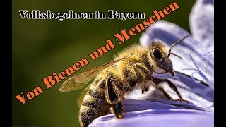 Von Bienen und Menschen  Volksbegehren in Bayern [upl. by Cogan909]