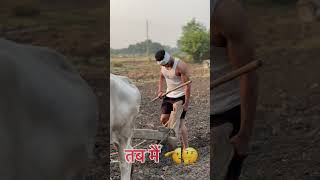 Jai jawan jai kisan farmer farming song cow tunefalsalugayi kisan short motivation reels [upl. by Annia]