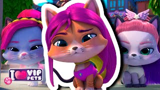 😻 Las GATAS al PODER 😼 VIP PETS 🌈 CAPÍTULOS COMPLETOS 💕 DIBUJOS ANIMADOS para NIÑOS en ESPAÑOL [upl. by Undine]