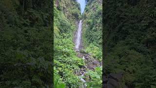 The Trafalgar waterfall is a captivating natural wonder featuring two waterfalls 🇩🇲🇩🇲🇩🇲 [upl. by Ashly]