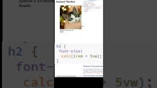 CSS responsive font size [upl. by Litch549]