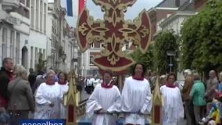 69 Maria ommegang in Bergen Op Zoom 2013 [upl. by Yvel359]