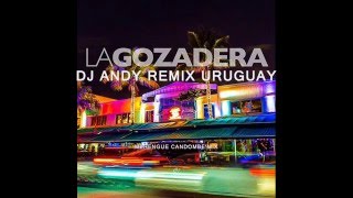 LA GOZADERA REMIX 2016 DJ ANDY [upl. by Novrej]