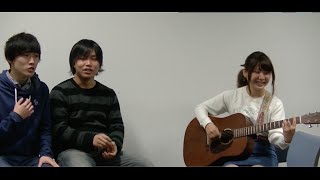 ドンキホーテのテーマ♪主題歌を歌ってみた 鈴木友里江「ミラクルショッピング」 [upl. by Aihtebat]