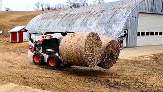 Bedding Cows With Corn Stalks and Hauling Feed Life On a Small Dairy Farm Day Nine [upl. by Blessington21]