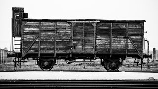 Viewer Discretion Is Advised Some of the MOST Emotional Photos I have ever taken from Auschwitz [upl. by Elish]