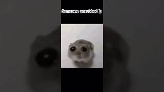 Someone unsubscribed  memes funny cute fypシ゚ viral [upl. by Haneekas]