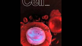 Malaria Channels Host Nutrients [upl. by Nnek]