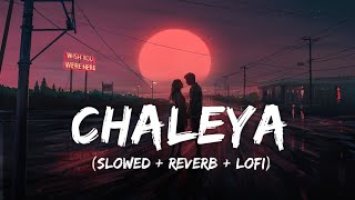 Chaleya  Lofi Mix  Slowed  Reverb  Arijit Singh Shilpa Rao  Jawan  SRK  SSR Lofi [upl. by Violante362]