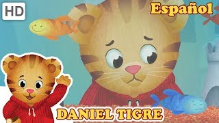 Daniel Tigre en Español  Cuando te Pierdes Algo que Amas [upl. by Malda348]