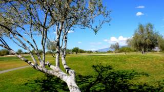 Crooked Tree Golf Course Tucson Arizona [upl. by Adnik]