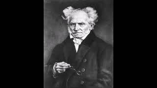 Friedrich Nietzsche  Schopenhauer as an Educator 1876 [upl. by Schulz]