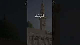 Quran recital freepalestine motivation reminder beautifulsurah quranicreminder [upl. by Server]